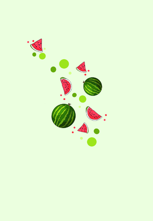 Mikina “Watermelon vibes”